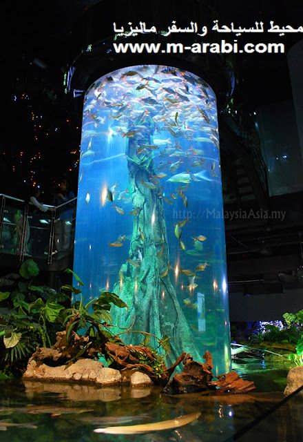       aquaria-klcc-picture