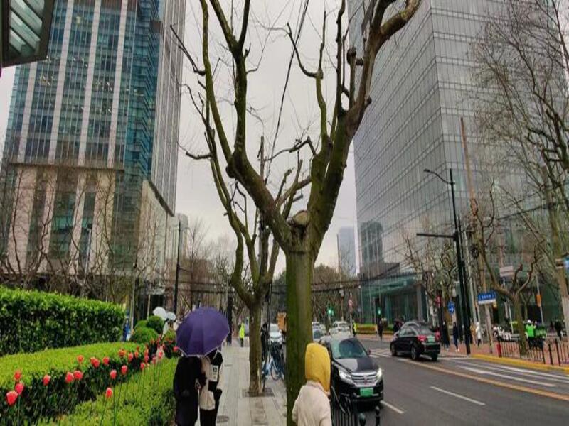 Huaihai%20Road%20Shanghai%205.jpg