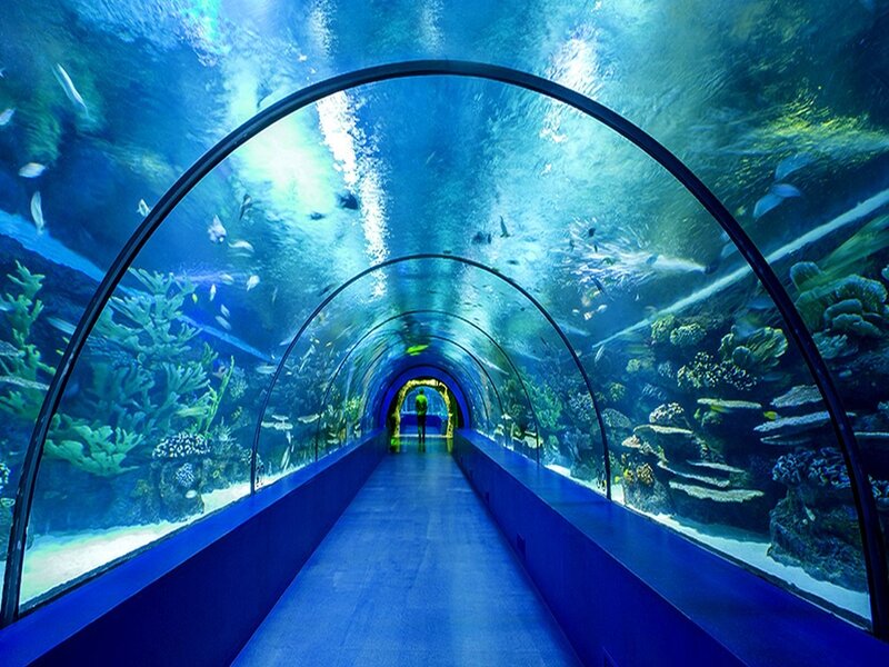أكواريوم أنطاليا Antalya Aquarium