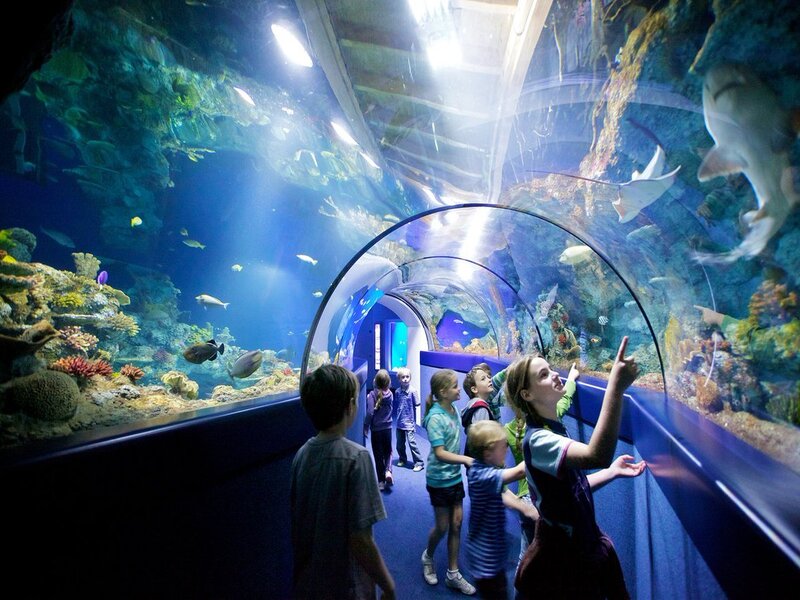 أكواريوم أنطاليا Antalya Aquarium