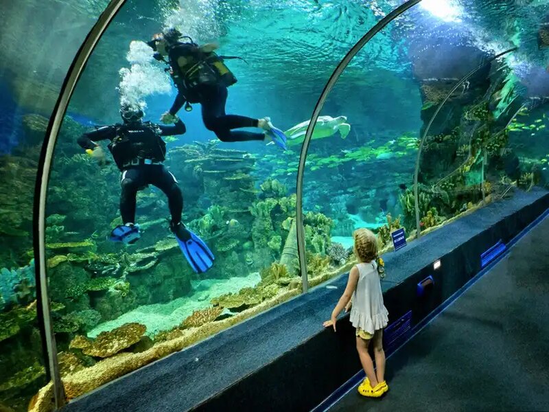 أكواريوم أنطاليا Antalya Aquarium