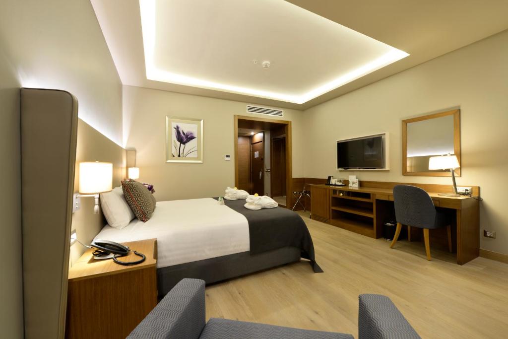 Holiday%20Inn%20Bursa%20-%20City%20Centre%20by%20IHG7.jpg