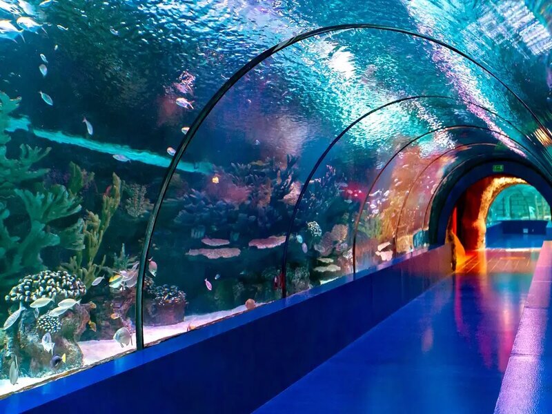 Antalya%20Aquarium4.jpg
