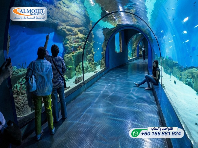 https://www.m-arabi.com/images/%D8%B1%D9%88%D8%B3%D9%8A%D8%A7/%D9%85%D8%AF%D9%8A%D9%86%D8%A9%20%D8%B3%D9%88%D8%AA%D8%B4%D9%8A/%D8%A7%D9%84%D8%A3%D9%85%D8%A7%D9%83%D9%86%20%D8%A7%D9%84%D8%B3%D9%8A%D8%A7%D8%AD%D9%8A%D8%A9/%D8%A3%D9%83%D9%88%D8%A7%D8%B1%D9%8A%D9%88%D9%85%20%D8%B3%D9%88%D8%AA%D8%B4%D9%8A/Sochi%20Discovery%20World%20Aquarium6-ink.jpeg
