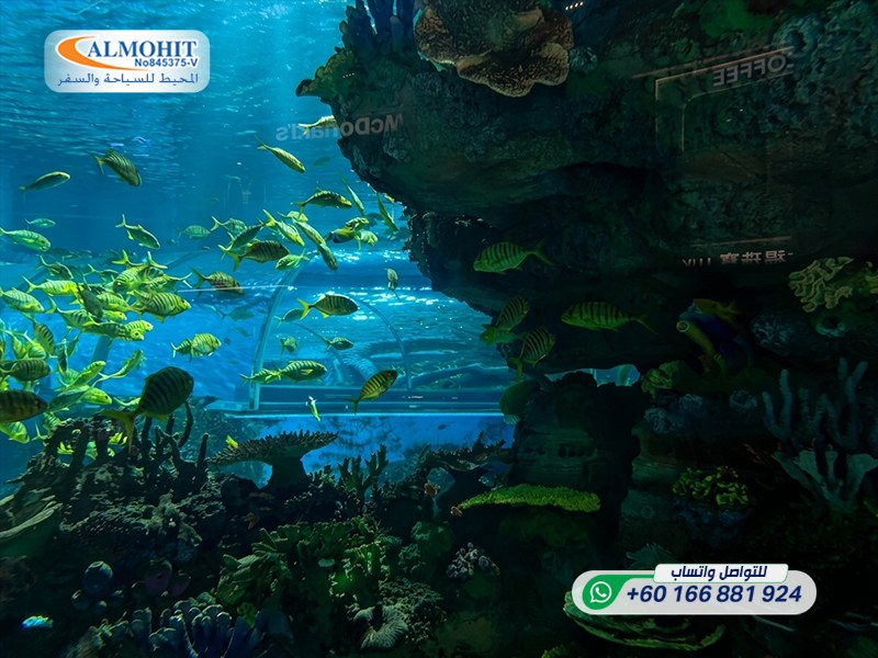 https://www.m-arabi.com/images/%D8%B1%D9%88%D8%B3%D9%8A%D8%A7/%D9%85%D8%AF%D9%8A%D9%86%D8%A9%20%D8%B3%D9%88%D8%AA%D8%B4%D9%8A/%D8%A7%D9%84%D8%A3%D9%85%D8%A7%D9%83%D9%86%20%D8%A7%D9%84%D8%B3%D9%8A%D8%A7%D8%AD%D9%8A%D8%A9/%D8%A3%D9%83%D9%88%D8%A7%D8%B1%D9%8A%D9%88%D9%85%20%D8%B3%D9%88%D8%AA%D8%B4%D9%8A/Sochi%20Discovery%20World%20Aquarium6-ink.jpeg
