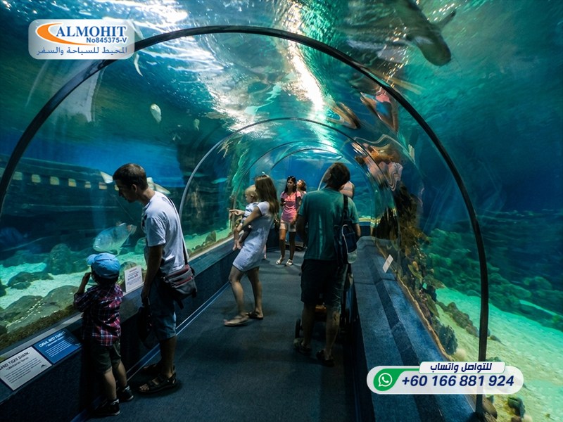 https://www.m-arabi.com/images/%D8%B1%D9%88%D8%B3%D9%8A%D8%A7/%D9%85%D8%AF%D9%8A%D9%86%D8%A9%20%D8%B3%D9%88%D8%AA%D8%B4%D9%8A/%D8%A7%D9%84%D8%A3%D9%85%D8%A7%D9%83%D9%86%20%D8%A7%D9%84%D8%B3%D9%8A%D8%A7%D8%AD%D9%8A%D8%A9/%D8%A3%D9%83%D9%88%D8%A7%D8%B1%D9%8A%D9%88%D9%85%20%D8%B3%D9%88%D8%AA%D8%B4%D9%8A/Sochi%20Discovery%20World%20Aquarium6-ink.jpeg