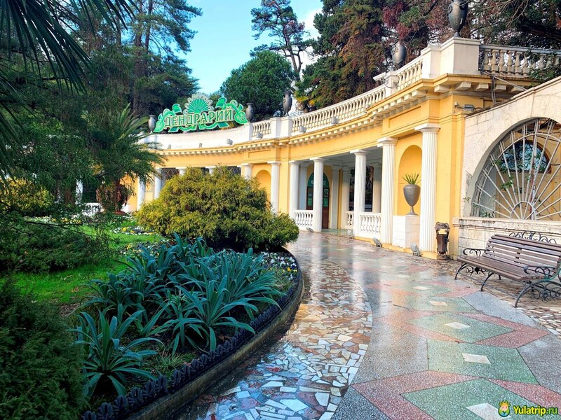 حديقة دندرا النباتية Sochi Arboretum Park