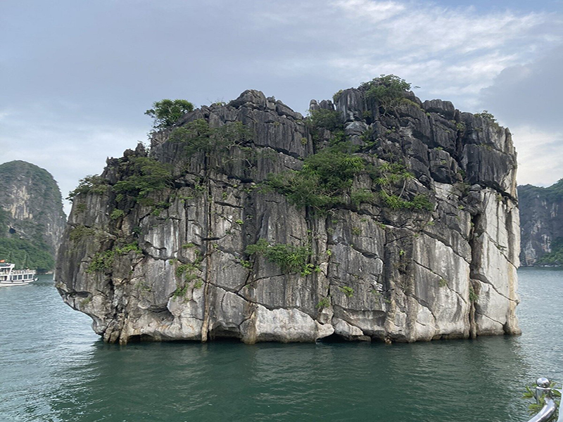 جزيرة هون دينه هوونج Hon Dinh Hoang Island