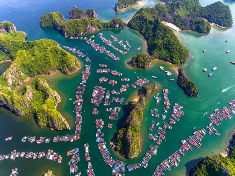 جزيرة هون دينه هوونج Hon Dinh Hoang Island