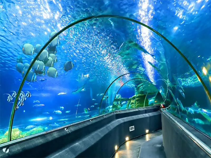 حديقة فينبيرل الترفيهية Vinpearl Amusement Park