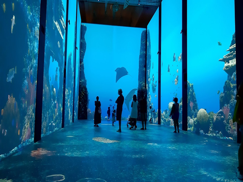 متحف علوم المحيطات Oceanography Museum