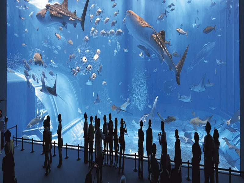 متحف علوم المحيطات Oceanography Museum