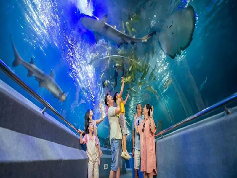 متحف علوم المحيطات Oceanography Museum