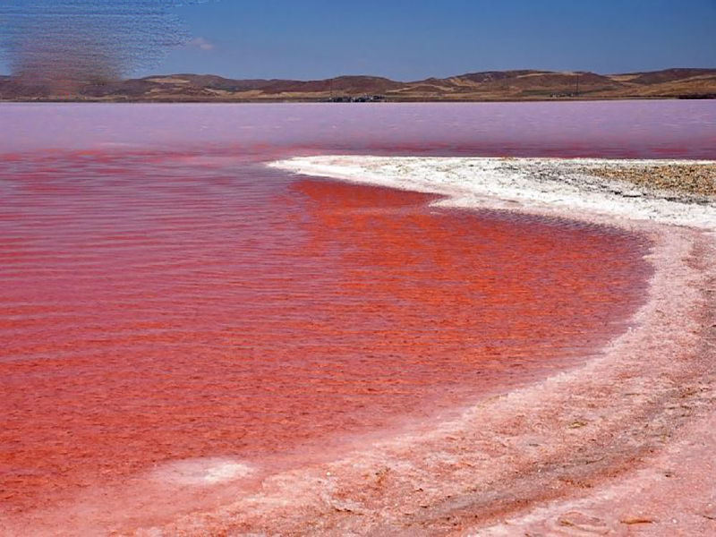 النهر الأحمر Red River