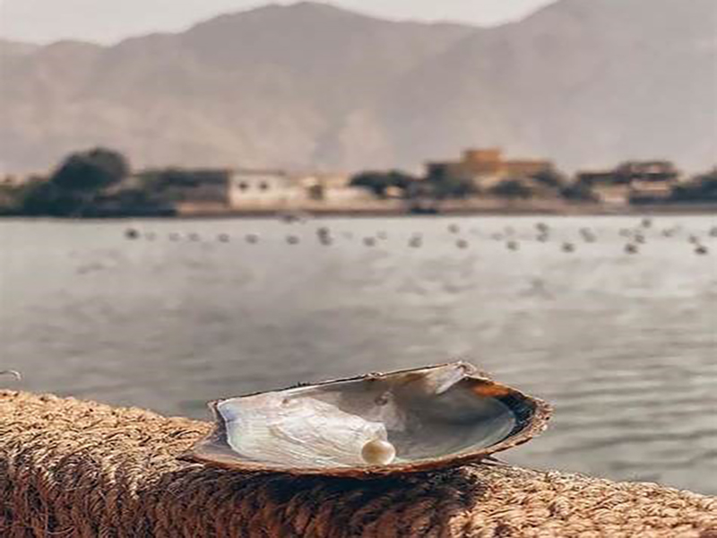 مزرعة اللؤلؤ  Pearl Farm