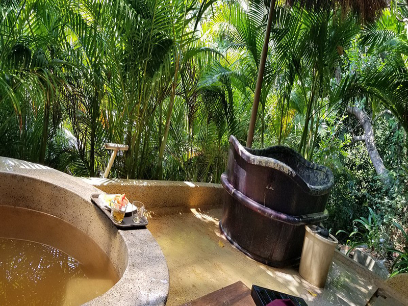 حديقة الينابيع الساخنة والمياه الطينيه Thap Ba Mud Bath
