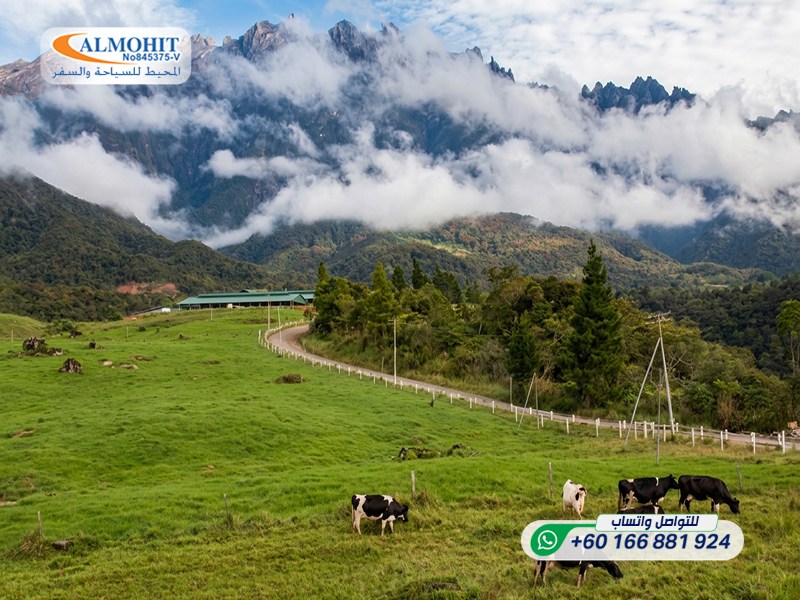 Kinabalu Park