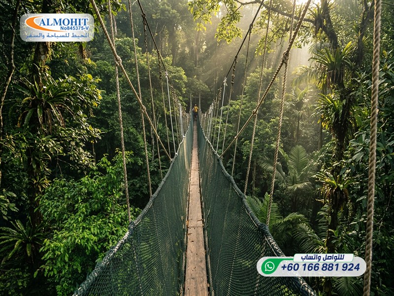 Kinabalu Park