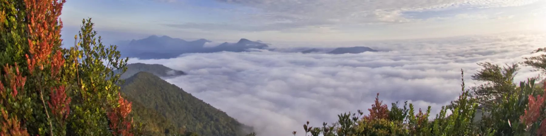 بونشاك الجبل