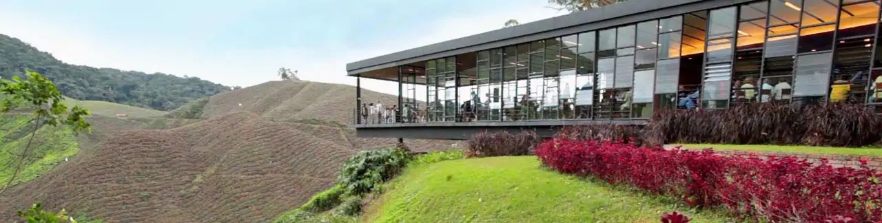 كاميرون هايلاند