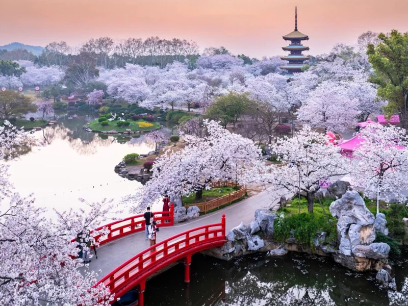 السياحة في ووهان