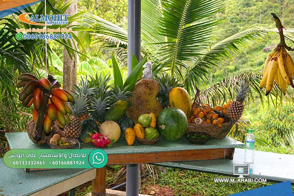 حديقة الفواكه بينانج Tropical Fruit Farm