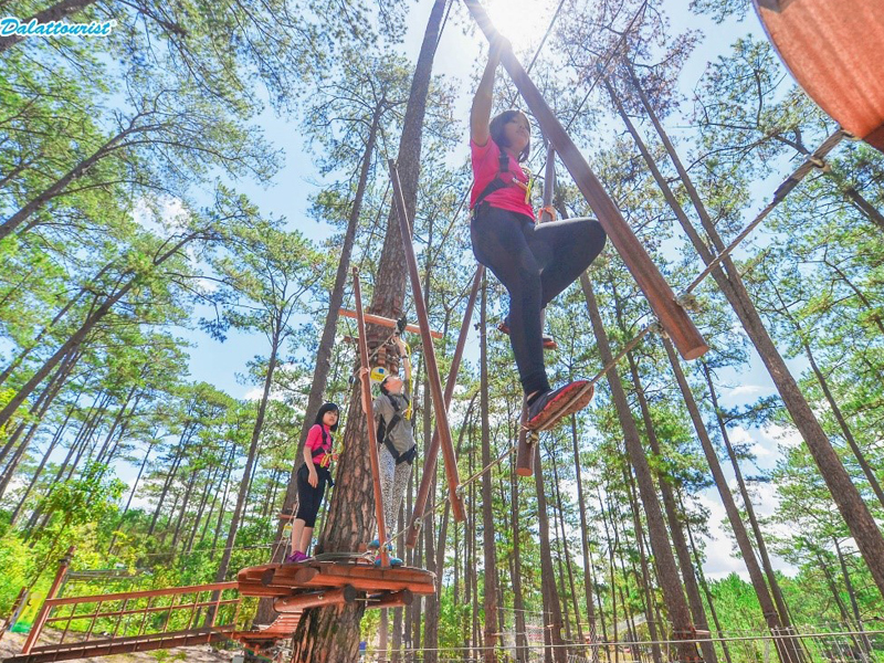 Datanla%20High%20Rope%20Course2.jpg
