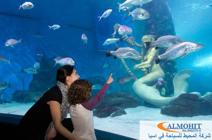 قطار سابا الجبلي المائل