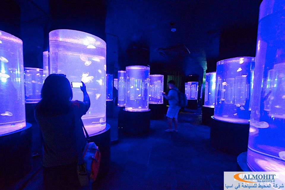 عالم تحت الماء بتايا Underwater World Pattaya