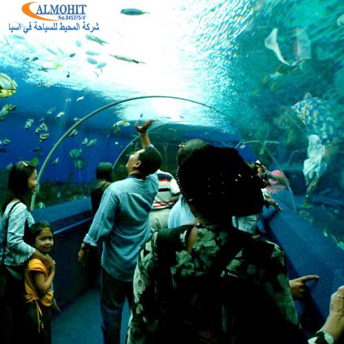 عالم تحت الماء بتايا Underwater World Pattaya