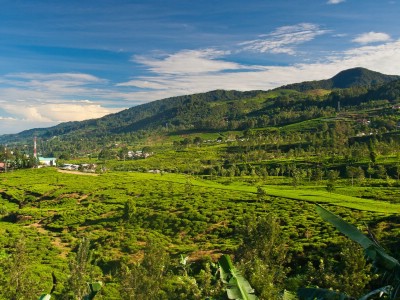 عرض سياحي اندونيسيا 10 ليالي