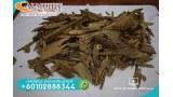 Malaysian Oud Tranqano AZ141