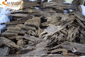 ASS8 Super Terrangano Oud