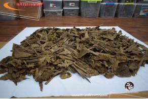 Malaysian Oud Terengganu AZ98