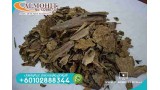 Super Cambodian Oud AC10