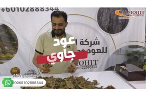 عود جاوي سوبر مرتفع (ANJ1)