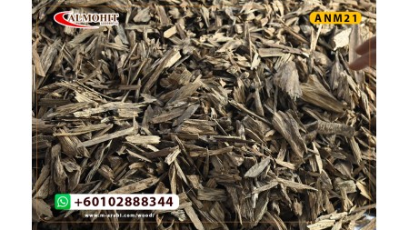 Malaysian Tiger oud Malaysian Tiger oud