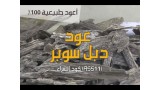 عود ماليزي سيوفي ترنقانو دبل سوبر | عود بخور طبيعي 100%