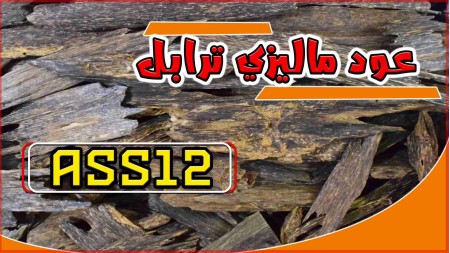 عود ماليزي ترابل ASS12 عود ماليزي ترابل ASS12