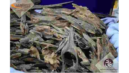 عود بروناي ترابل ARS5 عود بروناي ترابل ARS5