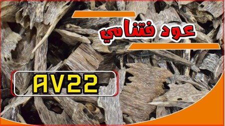 عود فيتنامي AV22 عود فيتنامي AV22