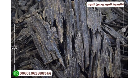 عود ماليزي صباح ترابل سوبر عود ماليزي صباح ترابل سوبر