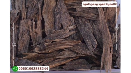 عود ماليزي صباح كسر متوسطة عود ماليزي صباح كسر متوسطة