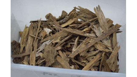 العود اللاوسي