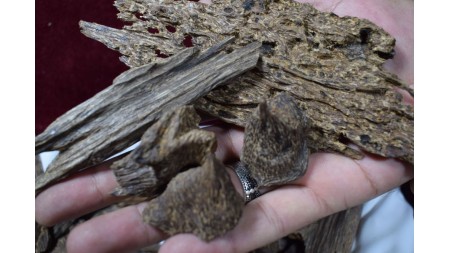 عود ماليزي ازرق غطاس 2 عود ماليزي ازرق غطاس 2