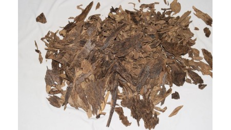 عود كلمنتان 2