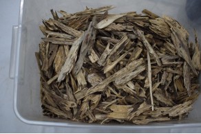Malaysian tiger oud Malaysian tiger oud