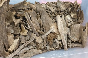 Cambodian Oud Cambodian Oud