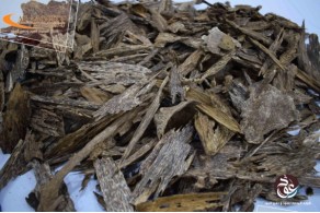 Brunei Siofi oud AR4