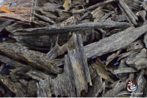 Brunei Siofi Oud AR5